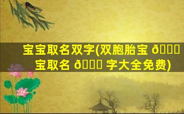 宝宝取名双字(双胞胎宝 🐕 宝取名 🐒 字大全免费)